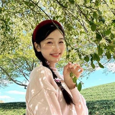 犯罪元素